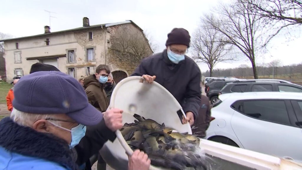 500kg de perches, tanches et brochets attendent les pêcheurs à Bouzey