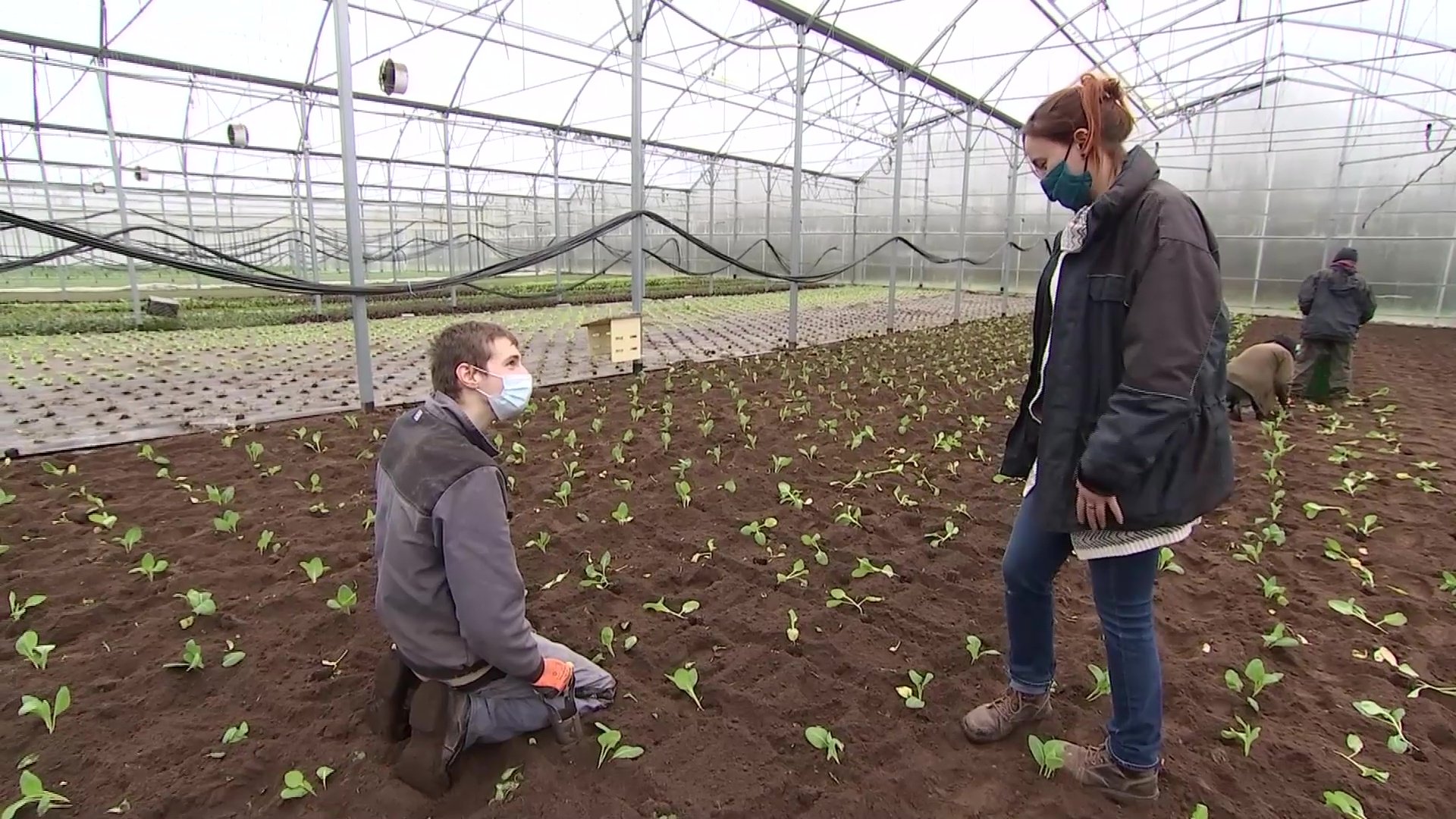 Les Jardins de Cocagne prônent le maraîchage bio à ThaonlesVosges