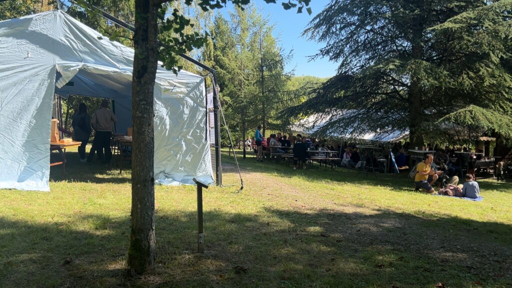 Sarralbe met à l’honneur sa forêt communale