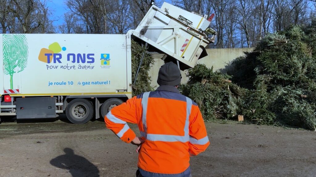 Comment sont valorisés vos vieux arbres de Noël ?