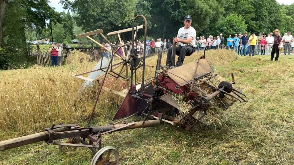 Démonstrations de moisson à l’ancienne au Moulin d’Eschviller