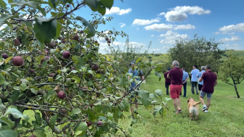 25 ans du verger collectif de Roth : un espace à préserver pour les arboriculteurs