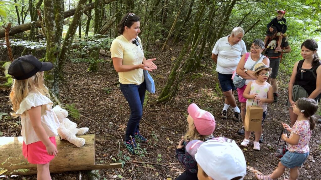 Une balade pour découvrir les trésors de la forêt