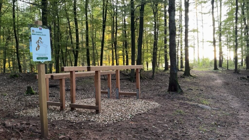 Un parcours en forêt pour faire du sport