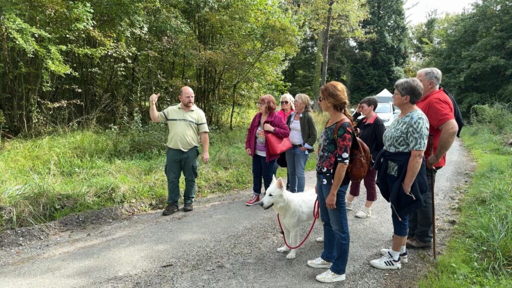 Les spécificités de la forêt Saint-Hubert expliquées par un technicien forestier