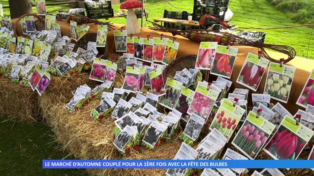 Le marché d’automne couplé pour la 1ère fois avec la fête des bulbes