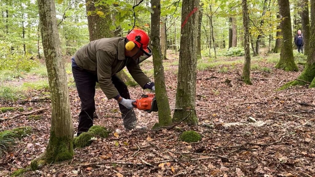 Formation de bûcheronnage à Enchenberg