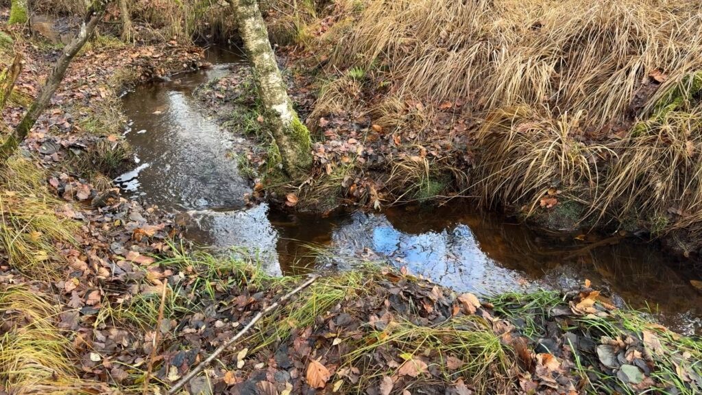 Préserver la réserve naturelle du Pays de Bitche