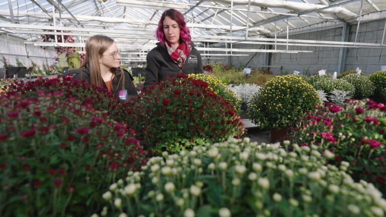 En immersion... avec une horticultrice