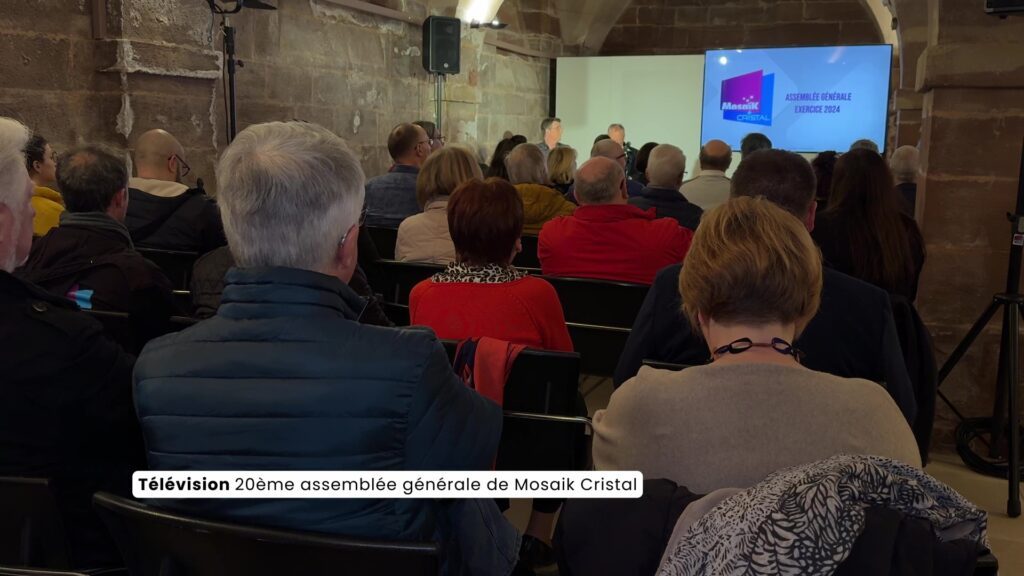 20ème assemblée générale de Mosaïk Cristal