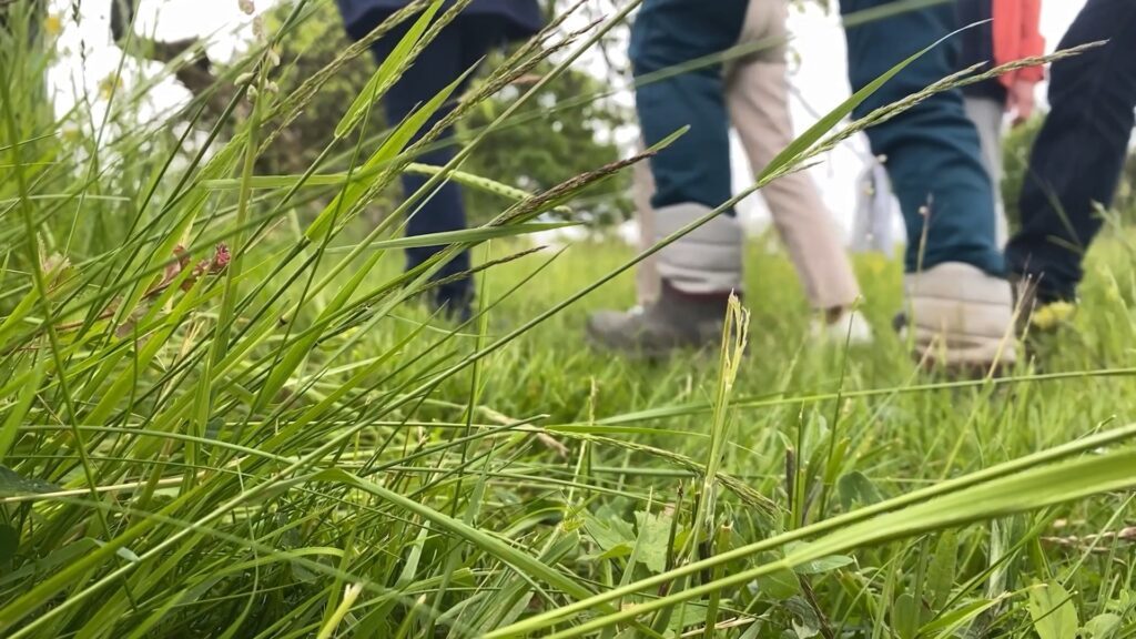 La nature mise à l’honneur avec un festival