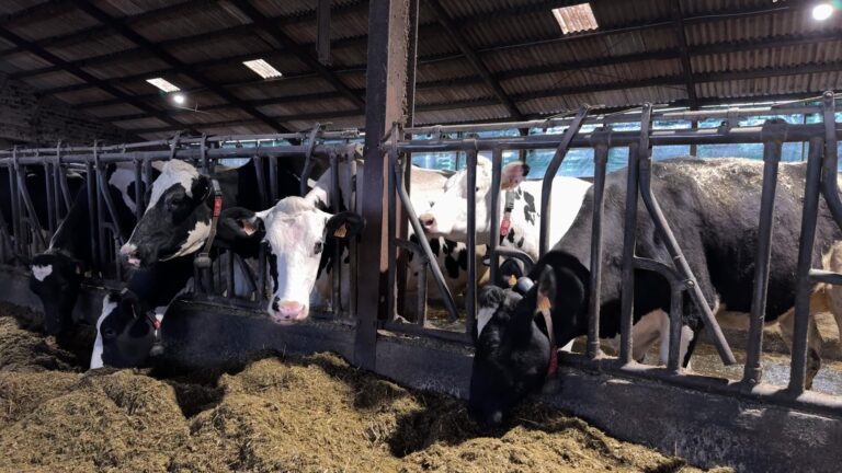 Loi d’orientation agricole : des réponses à la colère des agriculteurs ?