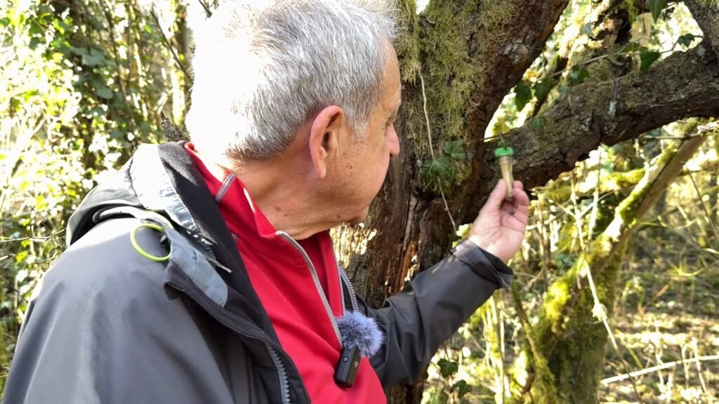 Hop'la, la balade secrète : Le Géocaching, chasse au trésor d’un nouveau genre